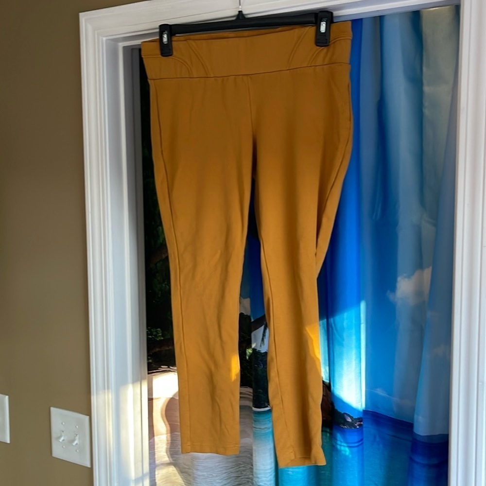 Cute 151 pants 1X